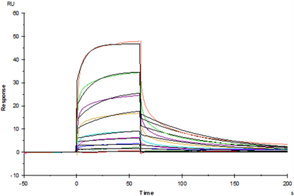 B7-H6/NCR3LG1 Fc Chimera Protein, Human