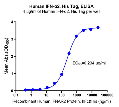 IFN-α2 His Tag Protein, Human