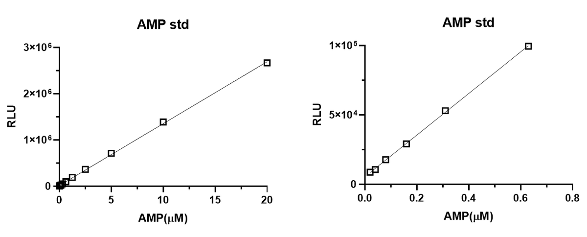 UA-Glo® AMP Assay Kit