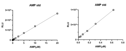 UA-Glo® AMP Assay Kit