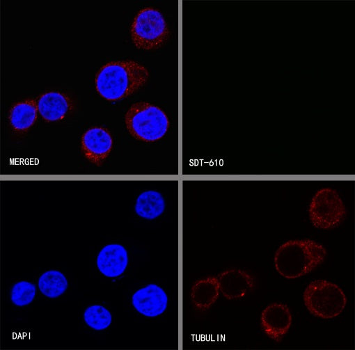 V5 Tag Mouse mAb (S-610-66)