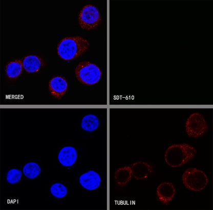V5 Tag Mouse mAb (S-610-66)