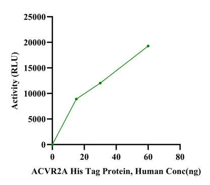 ACVR2A His Tag Protein, Human
