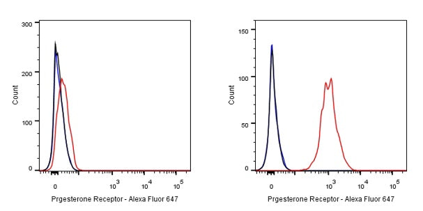 Progesterone Receptor Recombinant Rabbit mAb (Alex Fluor®647 Conjugate) (S-R123)
