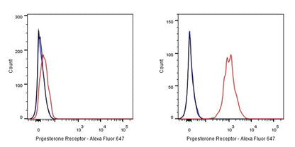 Progesterone Receptor Recombinant Rabbit mAb (Alex Fluor®647 Conjugate) (S-R123)