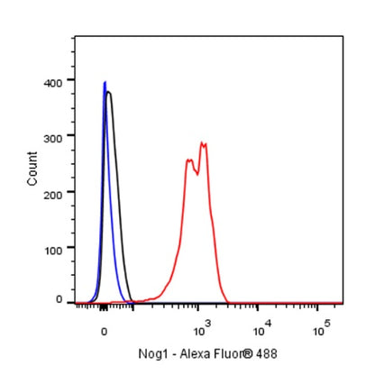 Nog1 Recombinant Rabbit mAb (S-R330)