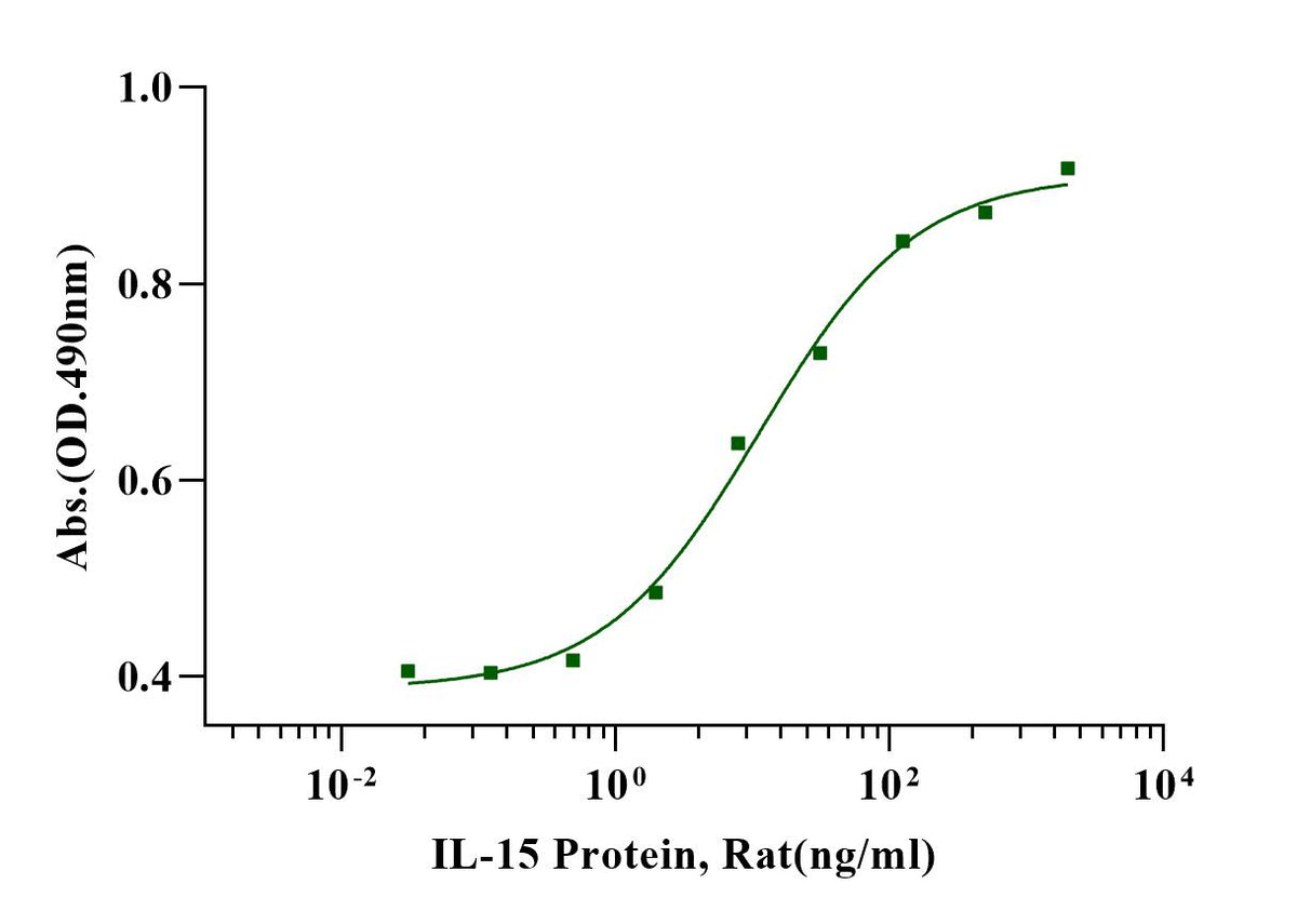 IL-15 Protein, Rat