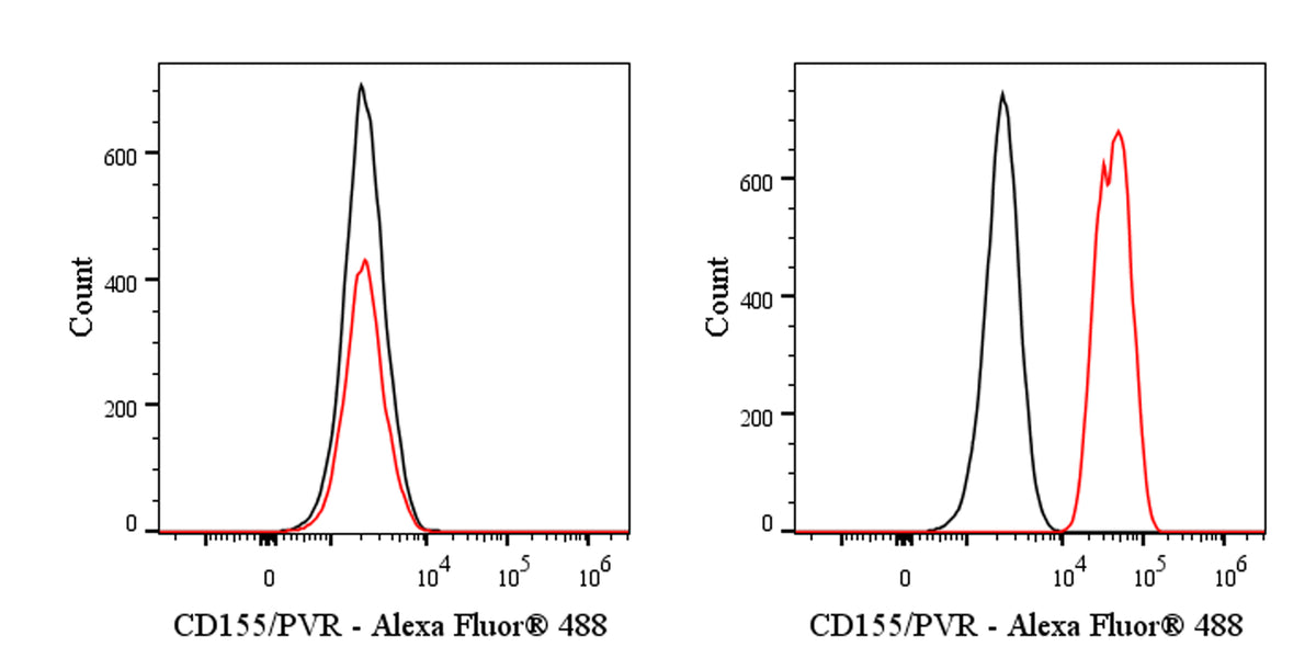 Mouse Anti-Human CD155/PVR Antibody (SKII.4)