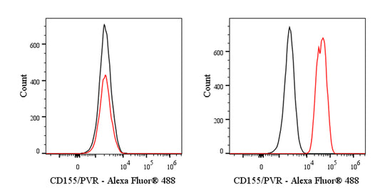 Mouse Anti-Human CD155/PVR Antibody (SKII.4)