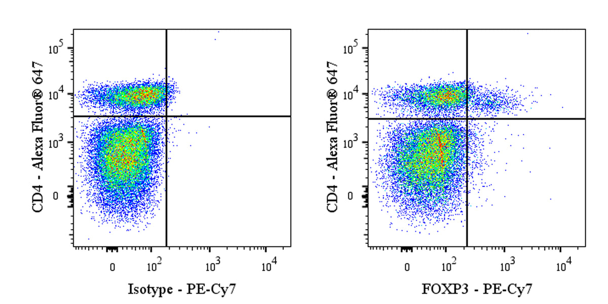 PE-Cy7 Mouse Anti-Human FOXP3 Antibody (S-2903)