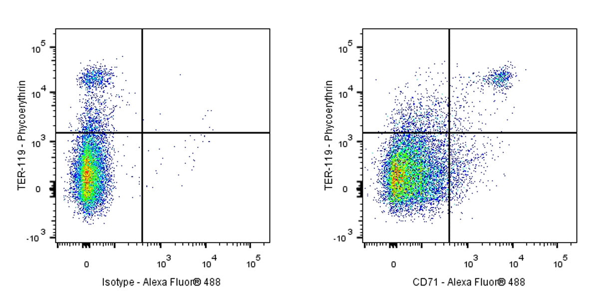 Rat Anti-Mouse CD71 Antibody (RI7217)