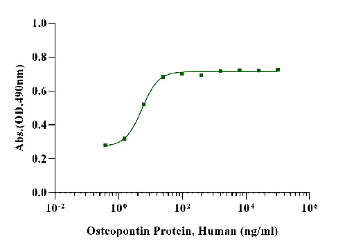 Osteopontin Protein, Human