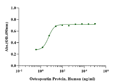 Osteopontin Protein, Human