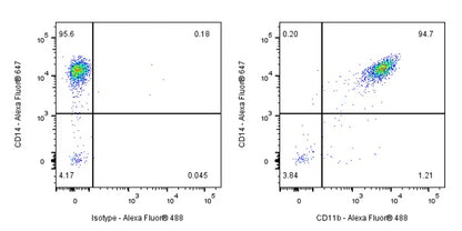 Mouse Anti-Human CD11b Antibody