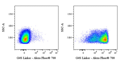 G4S linker Recombinant Rabbit mAb (Alexa Fluor® 700 Conjugate) (S-5030)