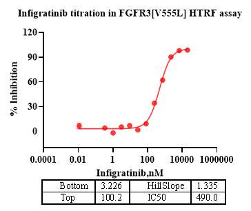 FGFR3[V555L] Protein