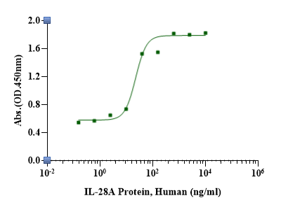 IL-28A/IFN-λ2 Protein, Human