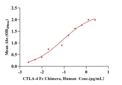 CTLA-4 Fc Chimera Protein, Human
