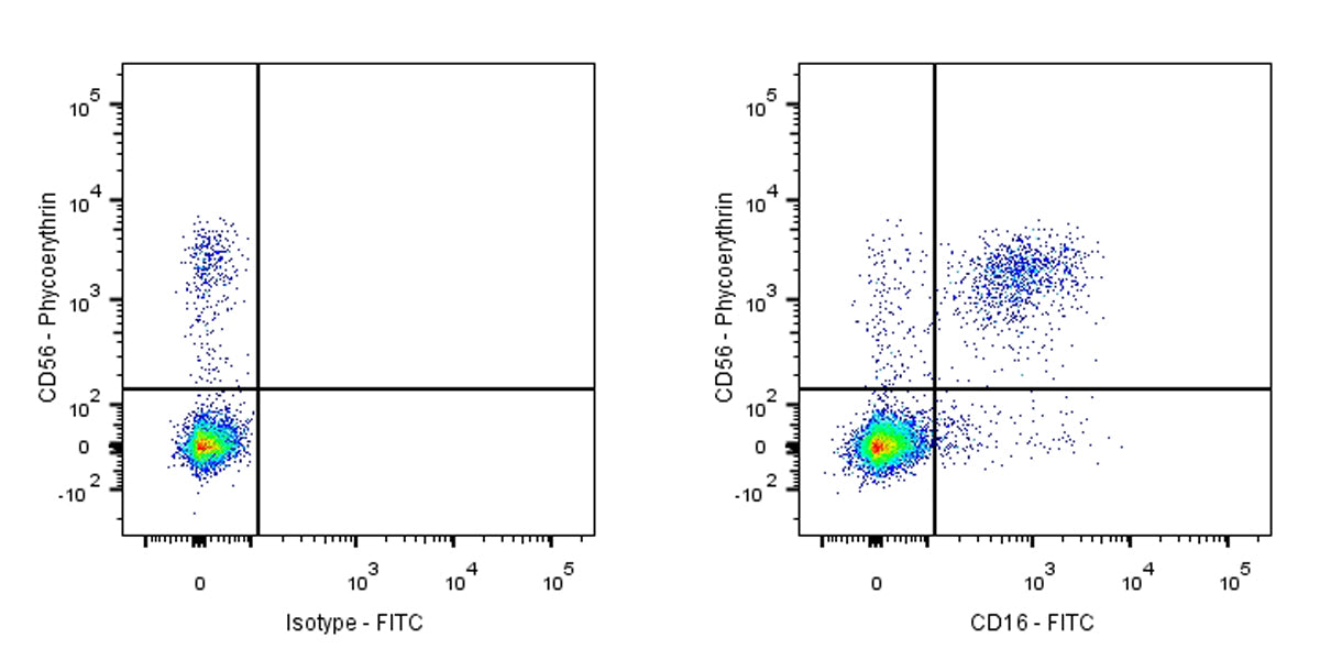 FITC Mouse Anti-Human CD16 Antibody (3G8)