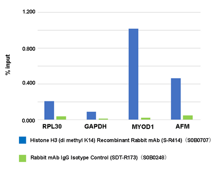 Histone H3 (di methyl K14) Recombinant Rabbit mAb (S-R414)