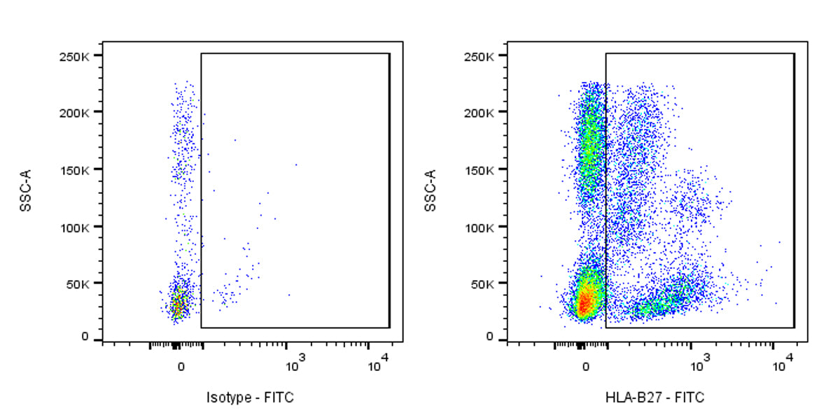 FITC Mouse Anti-Human HLA-B27 Antibody (HLA-ABC-m3)