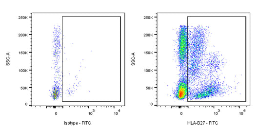 FITC Mouse Anti-Human HLA-B27 Antibody (HLA-ABC-m3)