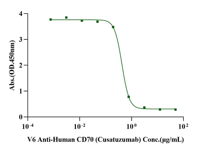 CD27 Ligand/CD70 Fc&His Tag Trimer design Protein, Human
