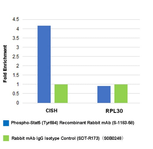 Phospho-Stat5 (Tyr694) Recombinant Rabbit mAb (S-1183-58)