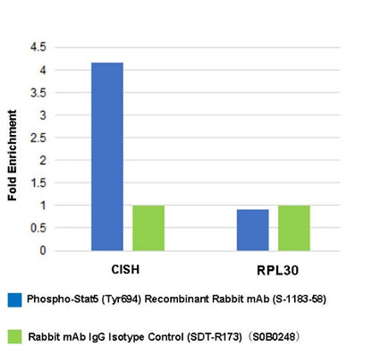 Phospho-Stat5 (Tyr694) Recombinant Rabbit mAb (S-1183-58)