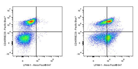 Rat Anti-Mouse LPAM-1 Antibody (DATK32)