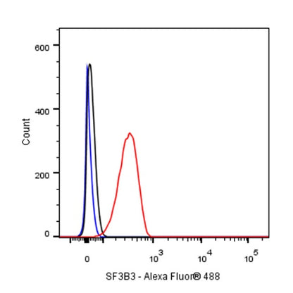 MTAP Recombinant Rabbit mAb (S-R363)