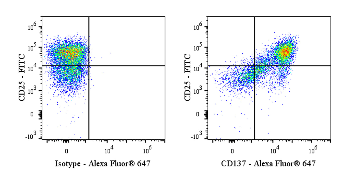 Alexa Fluor® 647 Rabbit Anti-Mouse CD137 Antibody (S-547-3)