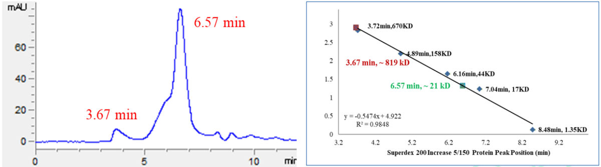 Biotinylated TGFBR1 His&Flag Tag Protein, Human