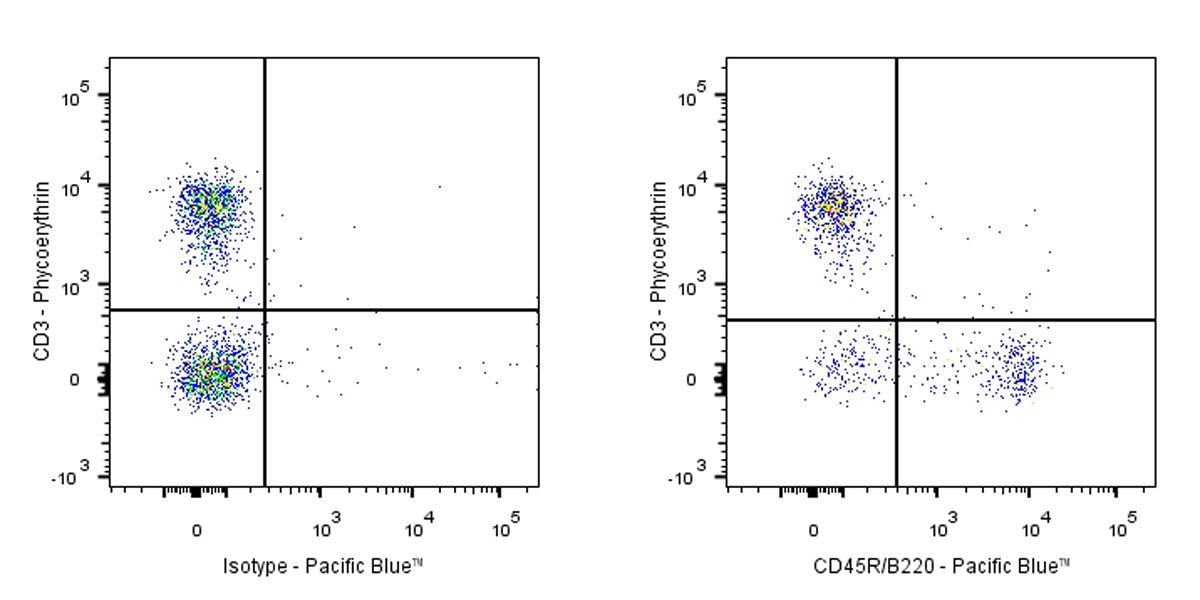 Pacific Blue Rat Anti-Mouse CD45R/B220 Antibody (RA3-6B2)