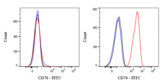 FITC Mouse Anti-Human CD70 Antibody (Ki-24)