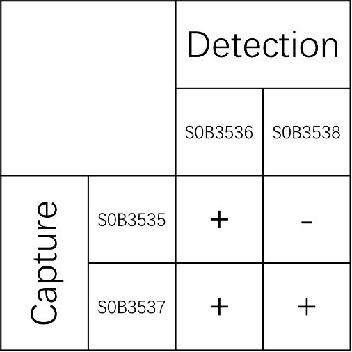 HPV18 E7 Recombinant Rabbit mAb (SDT-1413-13)