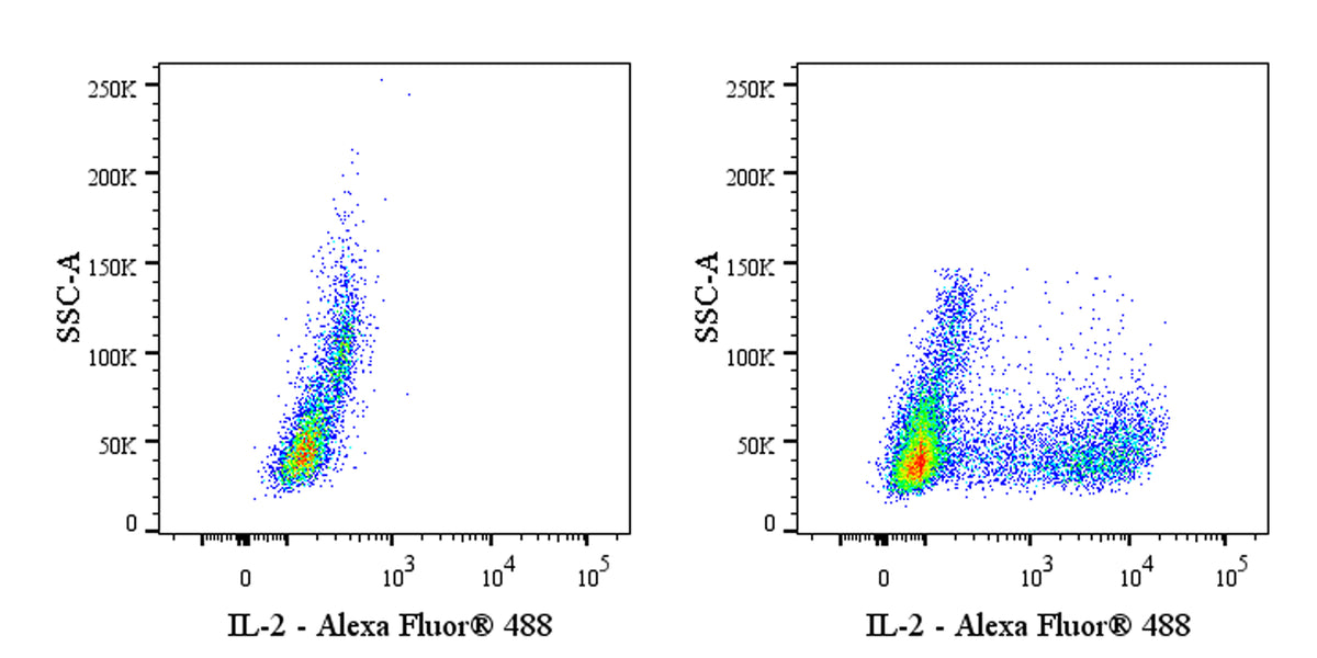 Rat Anti-Human IL-2 Antibody (S-5584)
