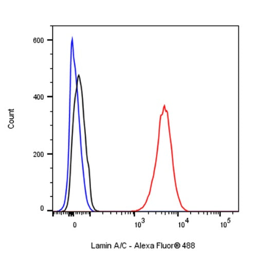 Lamin A/C Recombinant Rabbit mAb (Alexa Fluor® 488 Conjugate) (SDT-R041)