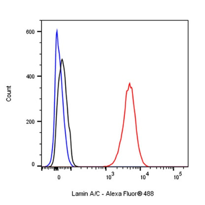 Lamin A/C Recombinant Rabbit mAb (Alexa Fluor® 488 Conjugate) (SDT-R041)