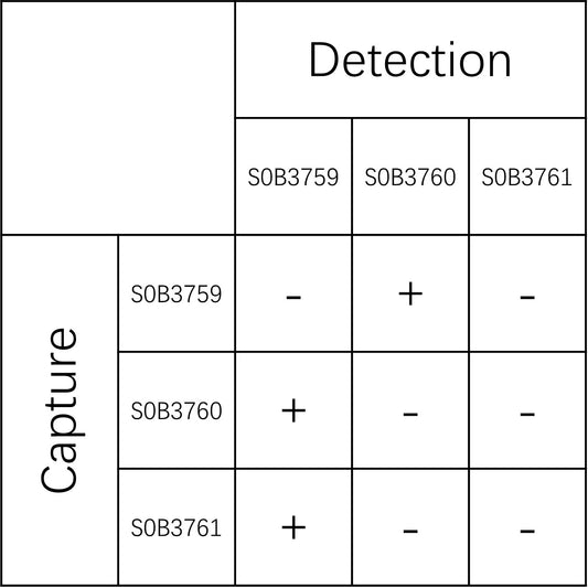 Toxoplasma gondii SAG1 Recombinant Rabbit mAb (SDT-3229-37)