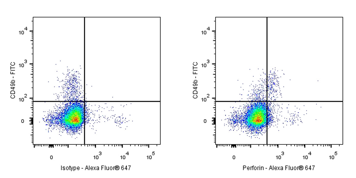 Rat Anti-Mouse Perforin Antibody (S-R644)