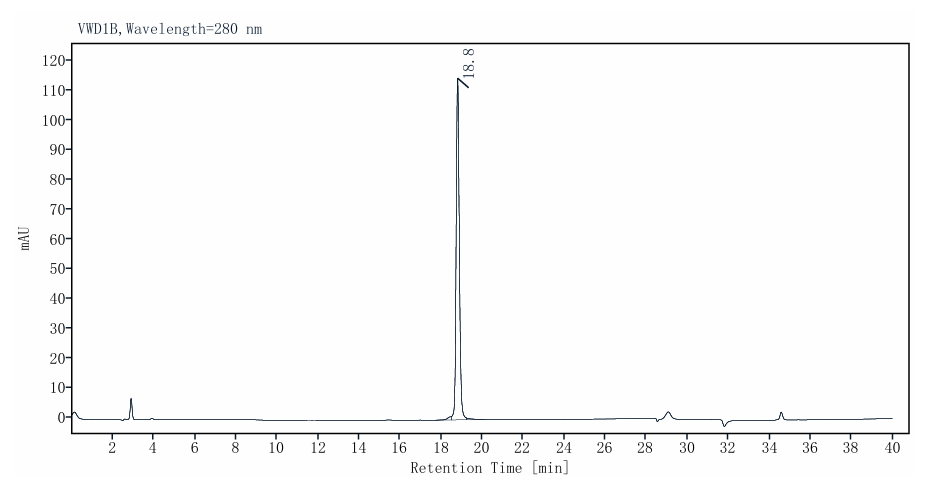 T4 DNA Polymerase
