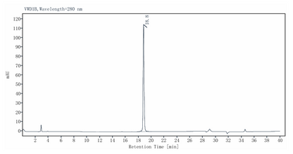 T4 DNA Polymerase
