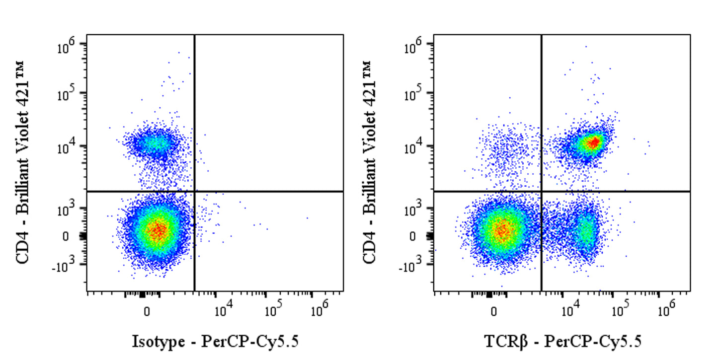 PerCP-Cy5.5 Armenian hamster Anti-Mouse TCR β Antibody (H57-597)