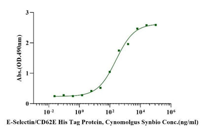 E-Selectin/CD62E His Tag Protein, Cynomolgus