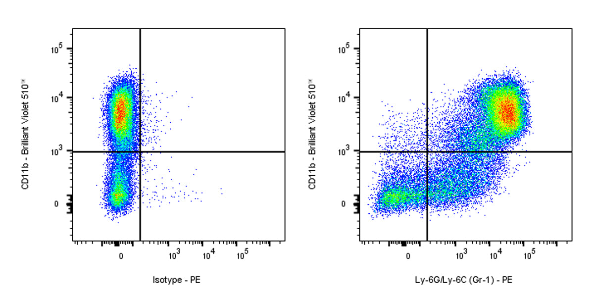 PE Rat Anti-Mouse Ly-6G/Ly-6C (Gr-1) Antibody (RB6-8C5)