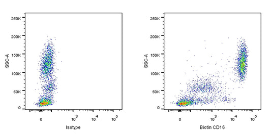Biotin Mouse Anti-Human CD16 Antibody (3G8)