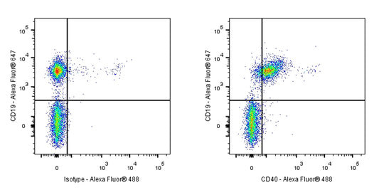 Invivo Anti-Mouse CD40 Recombinant mAb