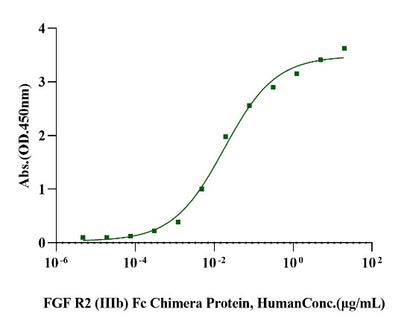 FGF-R2(IIIb) Fc Chimera Protein, Human