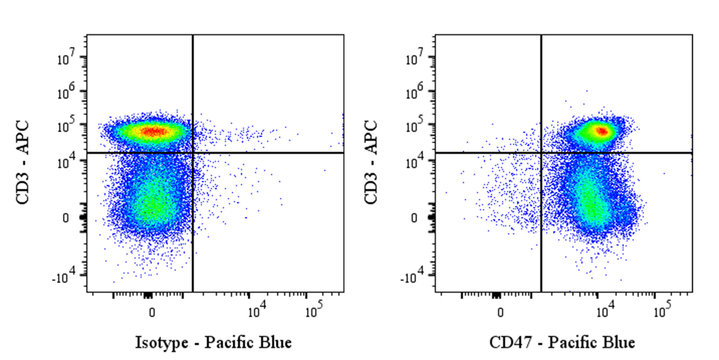Pacific Blue Mouse Anti-Rat CD47 Antibody (OX-101)